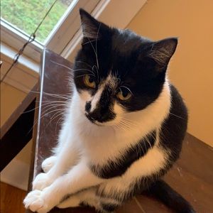 Meet your Posher, Mitchell